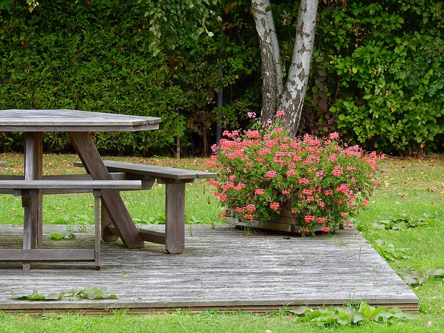 级赛场的残